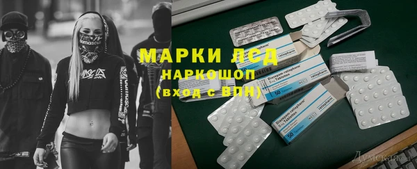 прущие грибы Алексеевка