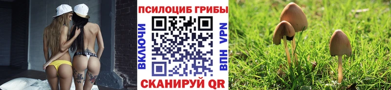 Галлюциногенные грибы Psilocybine cubensis  Калач-на-Дону 
